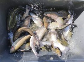 PD-trzni-6-e1630909517295-1024x764 (1).jpeg